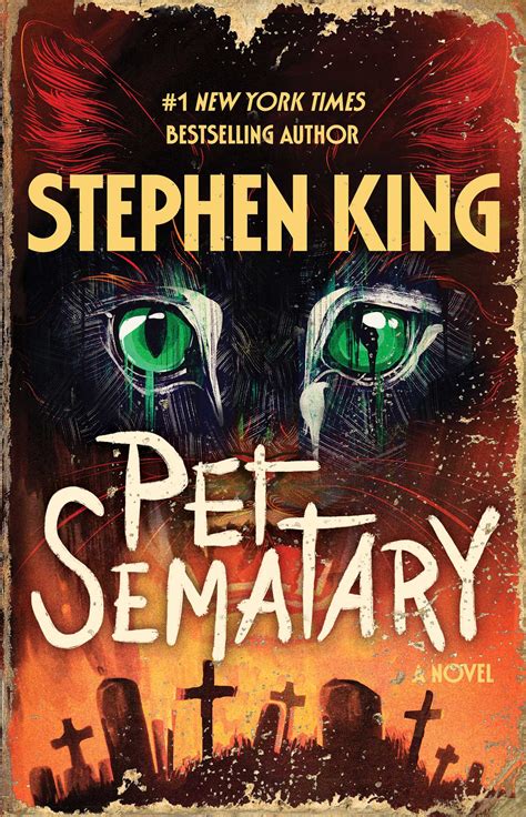 pet sematary book summary|when did pet sematary come out.